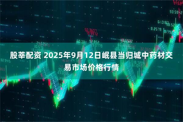 股莘配资 2025年9月12日岷县当归城中药材交易市场价格行情