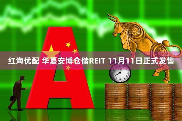 红海优配 华夏安博仓储REIT 11月11日正式发售