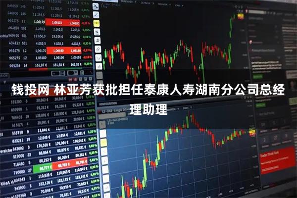 钱投网 林亚芳获批担任泰康人寿湖南分公司总经理助理