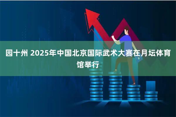 园十州 2025年中国北京国际武术大赛在月坛体育馆举行