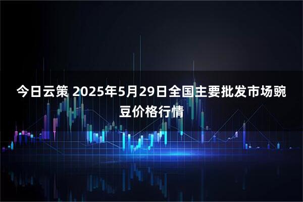 今日云策 2025年5月29日全国主要批发市场豌豆价格行情
